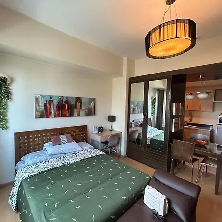 Studio Apartment In Bgc The Fort